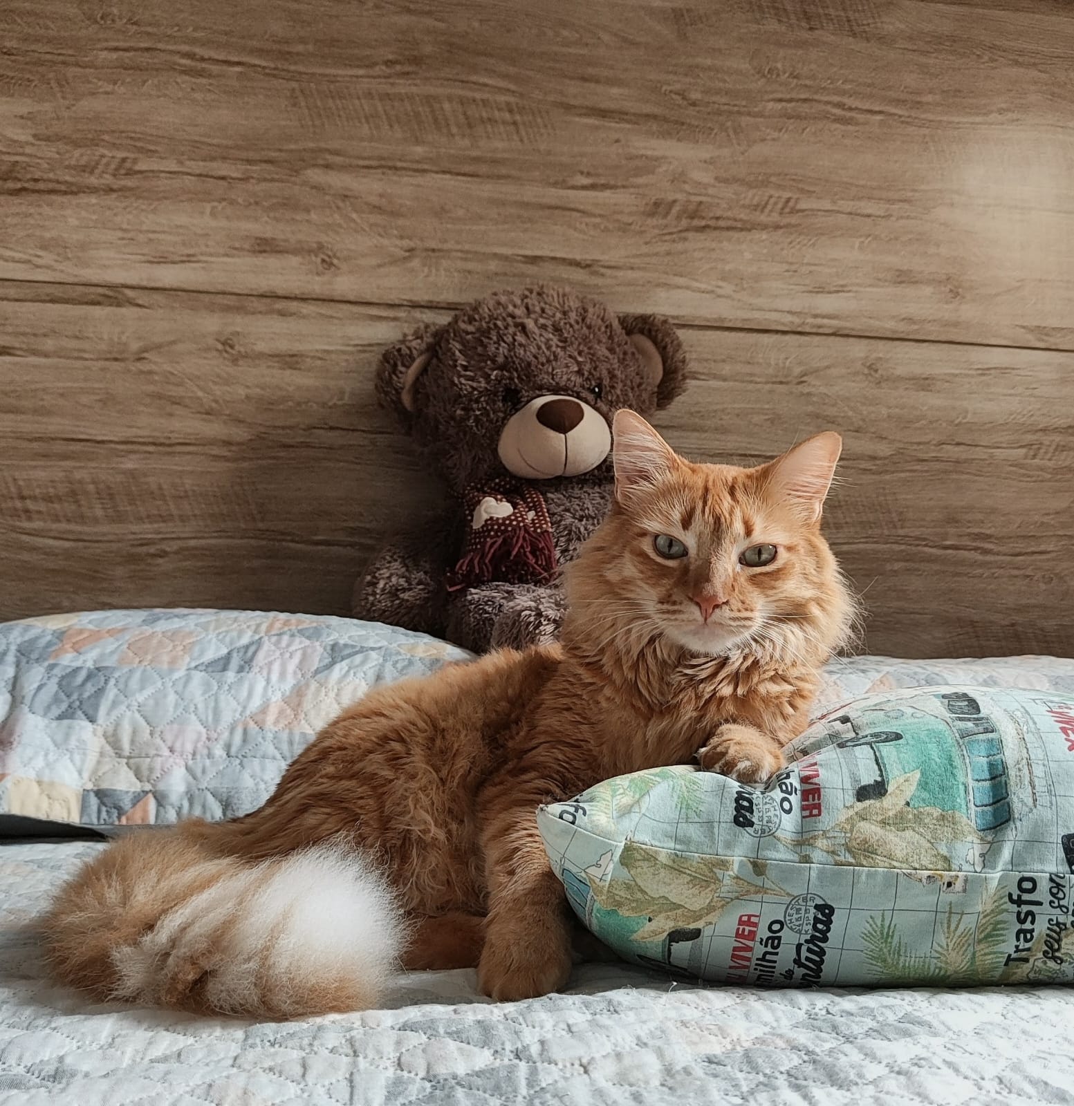 Peter with teddy bear