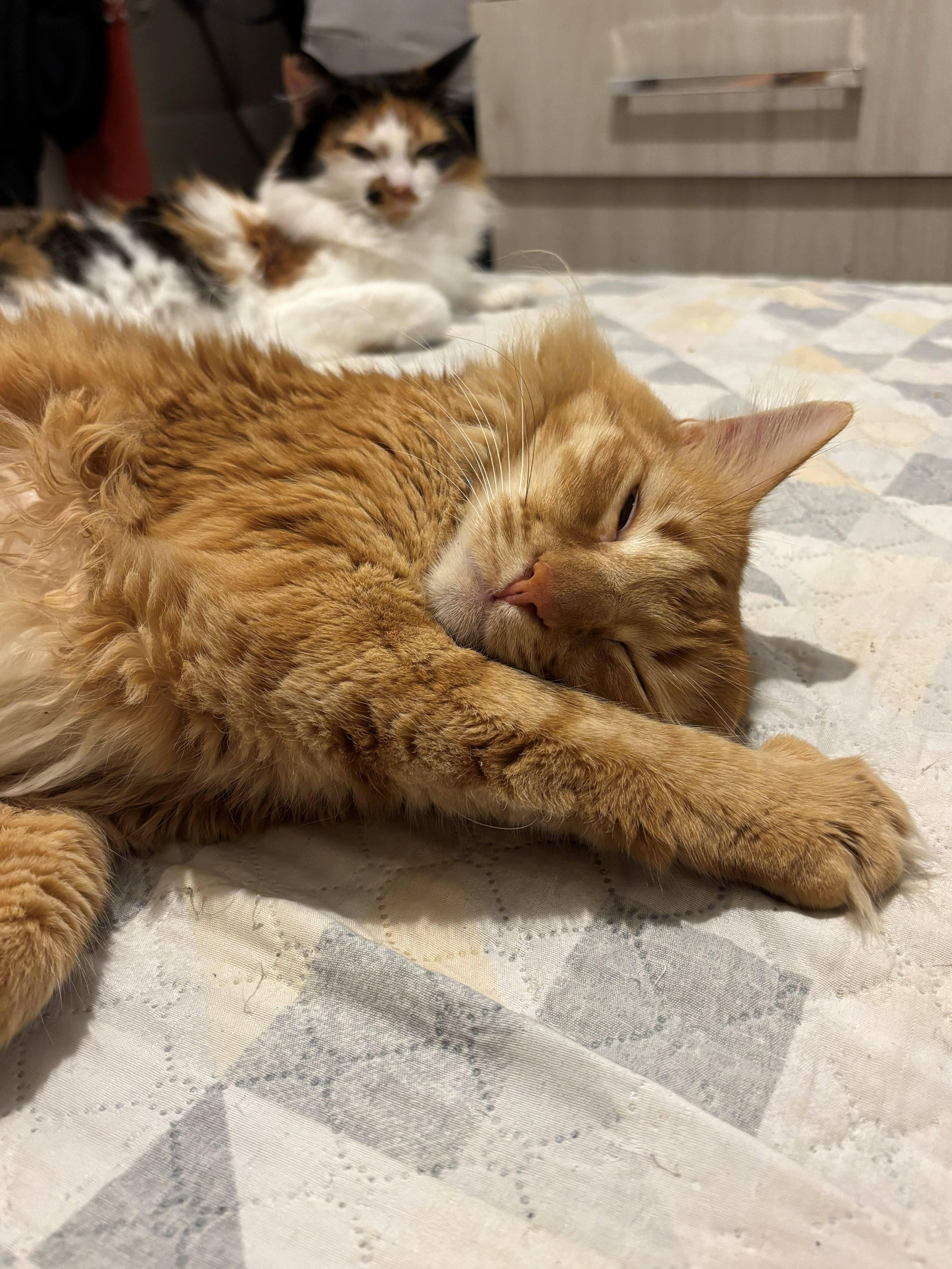 Peter relaxing